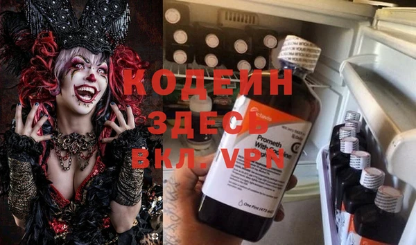 дмт Алзамай
